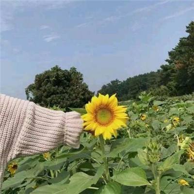 幻剑仙灵3456手游下载